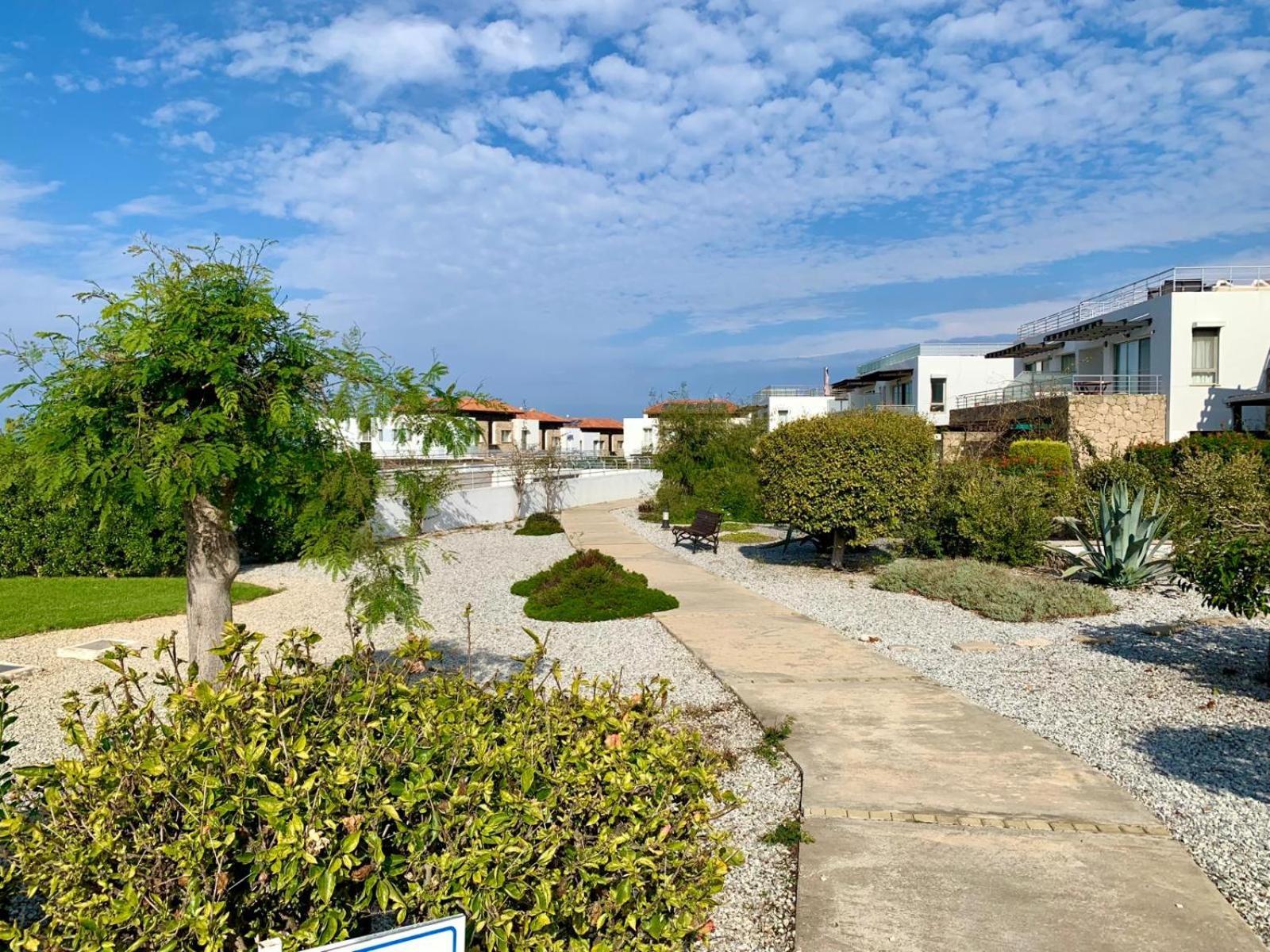 Boho Bay Apartment Akanthou Exteriör bild