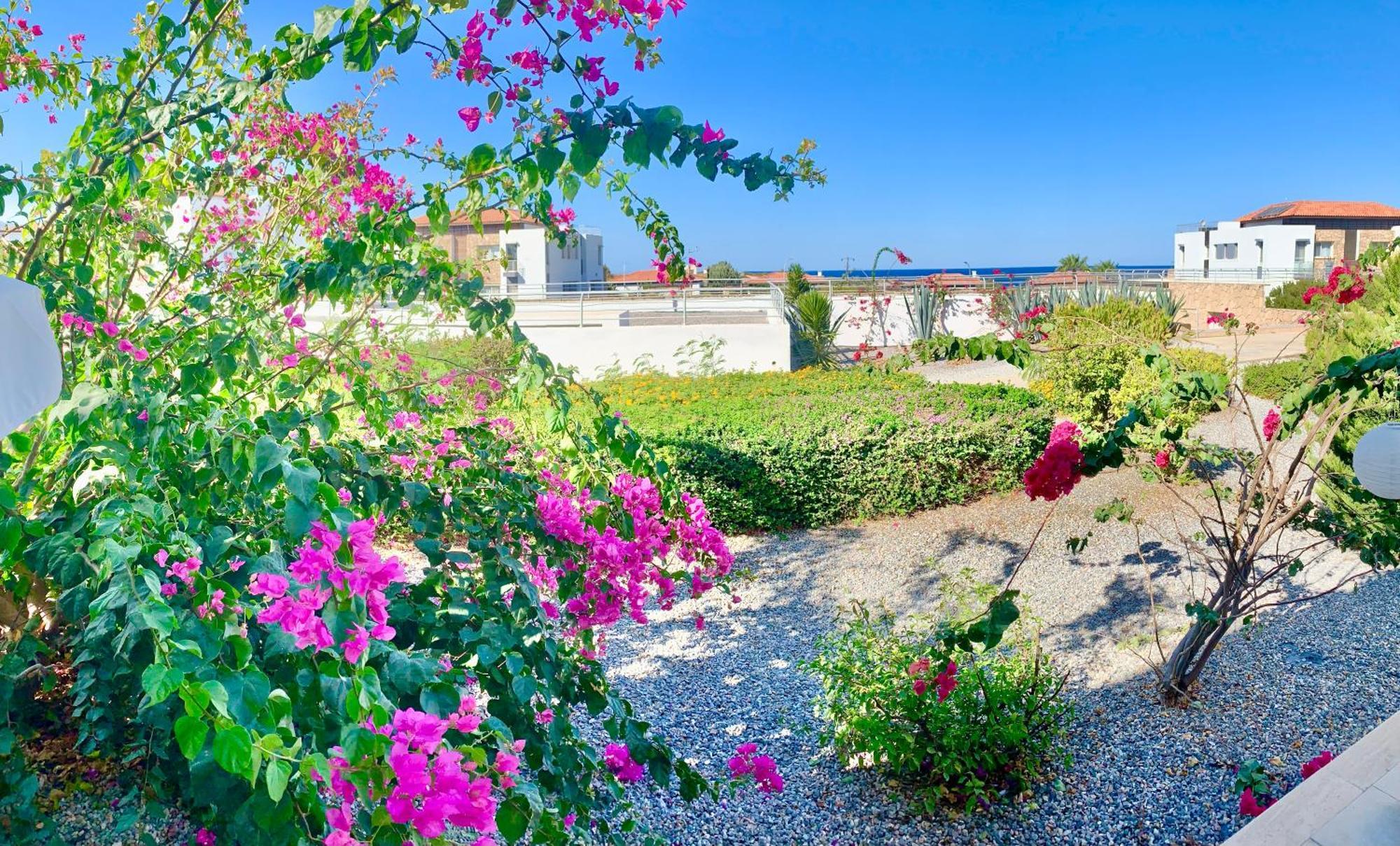 Boho Bay Apartment Akanthou Exteriör bild