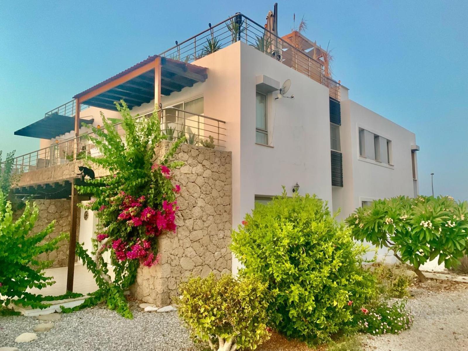 Boho Bay Apartment Akanthou Exteriör bild